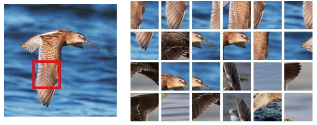 Understanding Self-Supervised Pretraining with Part-Aware Representation Learning